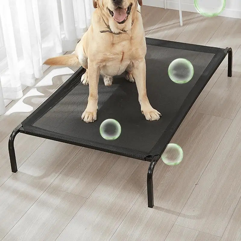 Erhöhtes Hundebett, erhöhtes Hundebett, atmungsaktives Haustierbett, tragbares, waschbares Haustierbett für kleine, mittelgroße Hunde, drinnen und draußen, heißes Wetter Hundetraum.store
