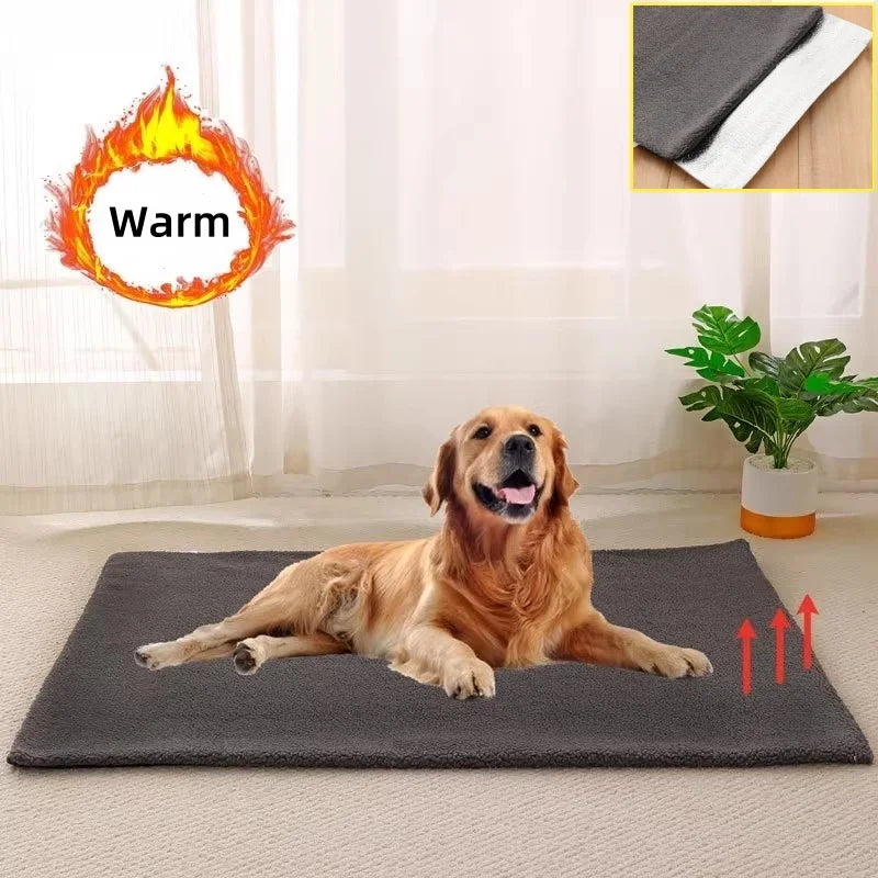 Selbsterhitzende weiche Haustiermatte Lamm Kaschmir Fleece Hunde Katzen Pad Winter Warm Hundeschlafbett Abnehmbare Welpen Kätzchen Matten Decke Hundetraum.store